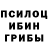 Псилоцибиновые грибы Cubensis GepToR ForsakeN