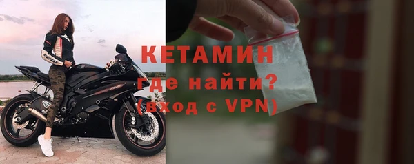 стаф Кодинск