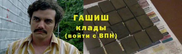 стаф Кодинск