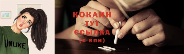 стаф Кодинск
