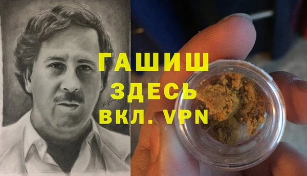 стаф Кодинск