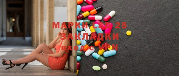 ПСИЛОЦИБИНОВЫЕ ГРИБЫ Чекалин